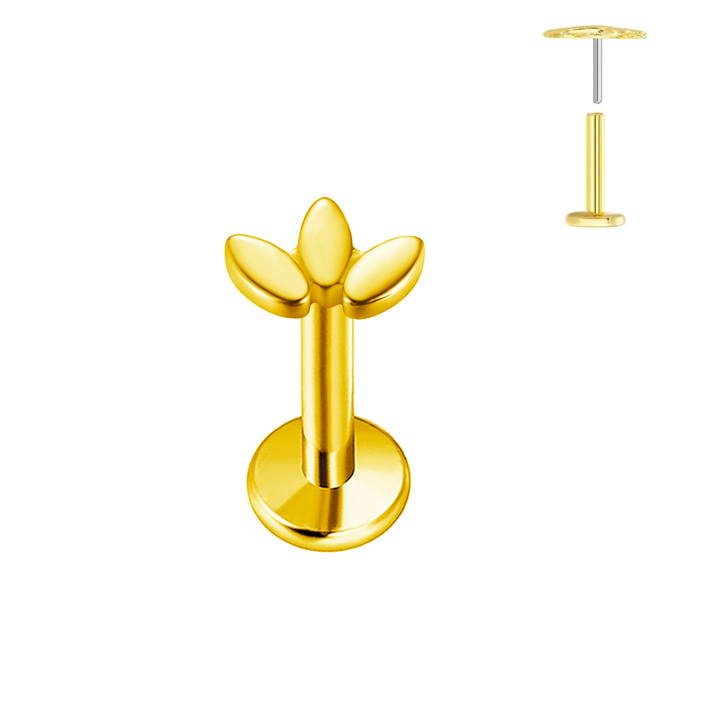 ASTM F136 G23 titane en forme  - Body Jewelry Labret avis et prix