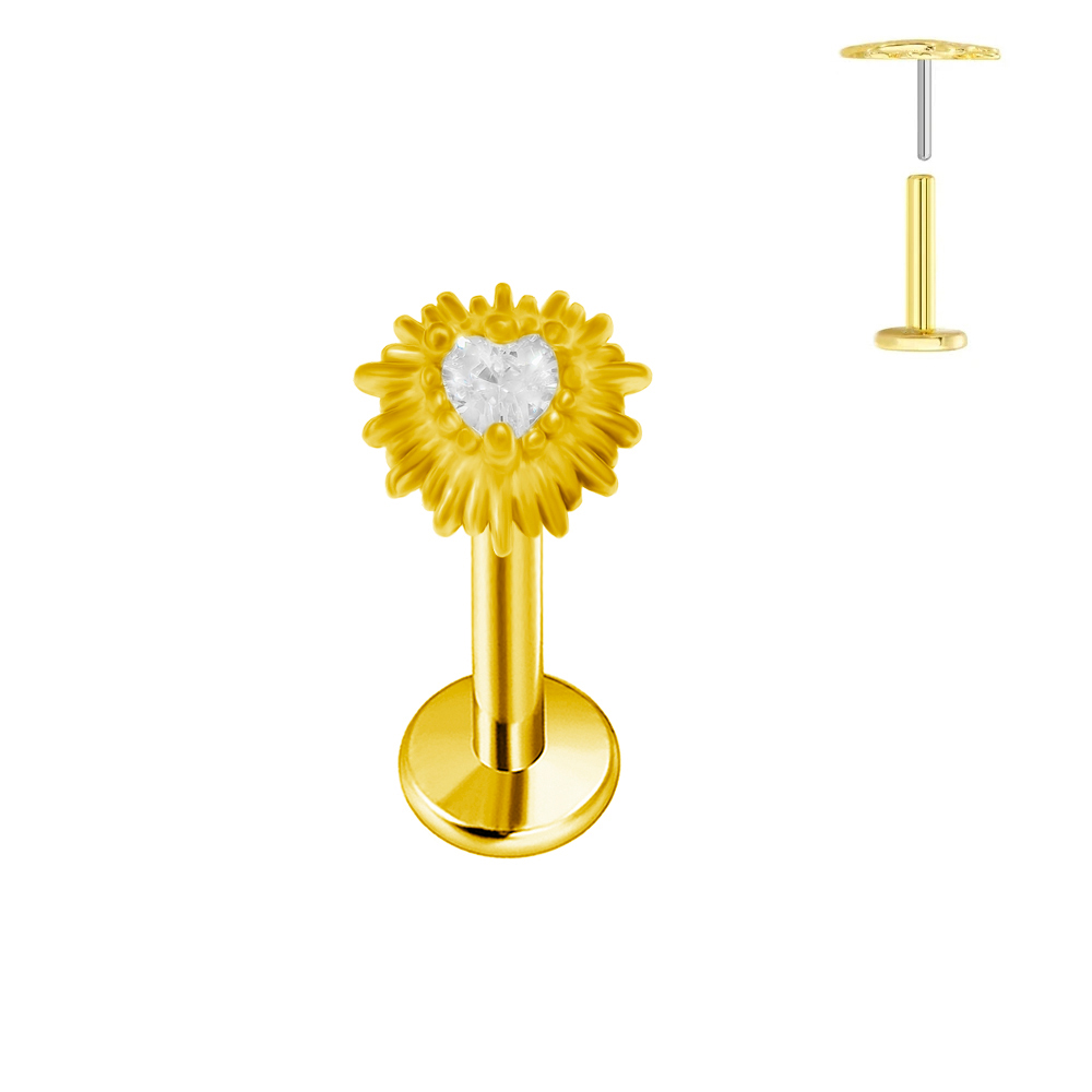 ASTM F136 G23 titane en forme  - Body Jewelry Labret avis et prix